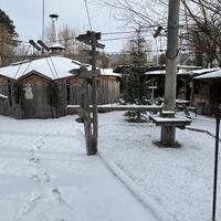 Basecamp Winter