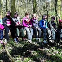 Schatzsuche in Sinsheim