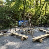 Grillplatz im Bannwald