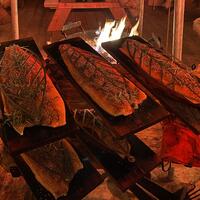 Flammlachs
