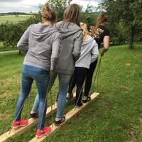 Fokussiertes Teamtraining in Sinsheim