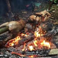 Tages Abenteuer- und Survivalkurs