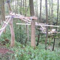 Fokussiertes Teamtraining in Sinsheim