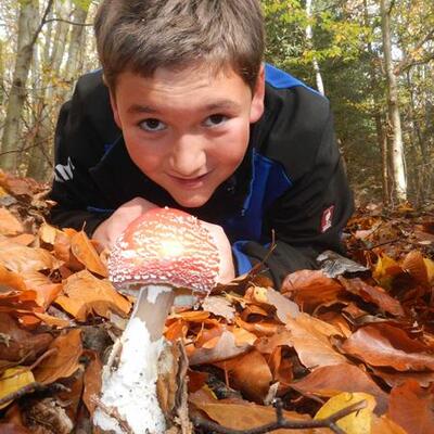 Kids-Club in Sinsheim