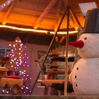Weihnachtsfeier in Sinsheim