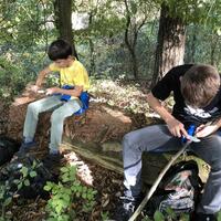Abenteuer Natur in Sinsheim