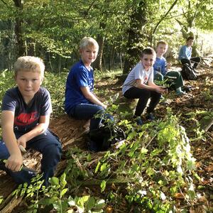 Schnitzführerschein